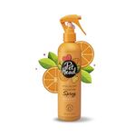 PET HEAD Dog Deodoriser Spray 300ml, Ditch the Dirt, Orange Scent, Best Vegan Pet Shampoo Spray, Odour Neutralising for Smelly Dogs, Professional Waterless Grooming, Gentle Formula for Puppies