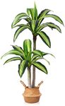 Ferrgoal Artificial Plants, 4 Ft Dracaena Tree Faux Plants Indoor Outdoor Decor Fake Tree with Woven Seagrass Basket Plants for Home Decor Office Living Room Porch Patio Perfect Housewarming Gift