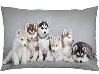 EKOBLA Throw Pillow Cover Siberian Husky Puppies Dog Art Lovely Pet Group Animal Adorable Puppy Cute Design Friends Decor Lumbar Pillow Case Cushion for Sofa Couch Bed Standard Queen Size 20x30 Inch