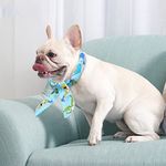 DELIFUR Dog Ice Bandana Pet Summer Cooling Neck Wrap Dog Cooling Bandana Pet Instant Cooling scarf for Small Dogs and Medium Dogs(3 Pack)