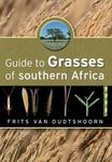 Guide to grasses of Southern Africa