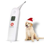 Temperature Thermometer For Clinic