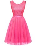 BeryLove Sequin Dress Vintage A Line Wedding Formal Swing Tulle Dress Sleeveless Cocktail Mini Dress, Tulle Sequin Hot Pink, Small