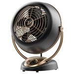 Vornado VFAN Alchemy Vintage Fan | Retro Metal Air Circulator for Cooling & Decor | 5 Speeds, Adjustable Tilt | Gunmetal