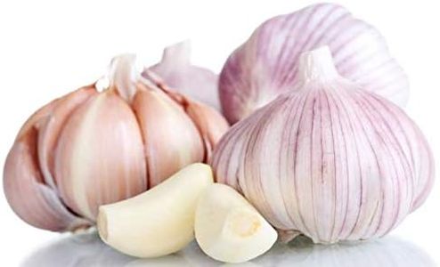 Kejora USDA Certified Organic Fresh Garlic Bulb 5 Count - Grown in California, USA