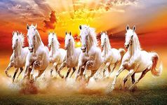 TULIP N TURTLE Seven White Horses DIY Acrylic Paint by Number Kit for Adults Kids Beginner Number Painting kit DIY Canvas Painting by Number. Wall Decoration DIY Painting kit for Adults