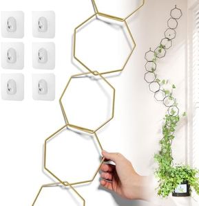 Chain Trellis for Climbing Plants - Versatile Indoor and Outdoor Accessories for Monstera, Pothos, Ivy, and Others | Support for Vines and Garden Wall Trellis (Gold)