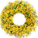 Egolot 26 Inch Forsythia Flower Wreath for Front Door, Spring and Summer Every Day Flower Wreath for Inside and Outside, Large Size Wreath for Home Decor