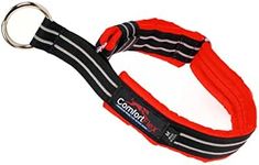 ComfortFlex Martingale Dog Collar -