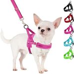 SlowTon No Pull Small Dog Harness a