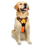 rabbitgoo Dog Harness, No-Pull Pet Harness with 2 Leash Clips, Adjustable Soft Padded Dog Vest, Reflective No-Choke Pet Oxford Vest with Easy Control Handle for Large Dogs, Orange, L