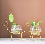 Delight World Unique Glass Planter Holder Deer Glass Pot Glass Flower Round Vase Handmade for Decorate House Set of 2|Colour-Gold