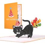 Pop Up Birthday Cards, 3D Birthday Card for Cat Lovers, Funny Cat Birthday Card, Funny 3D Cards Pop Up Cards Happy Birthday Card