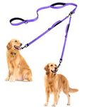 PetBonus Double Dog Leash, No Tangle Dual Dog Leash, Reflective Walking Training Leash, 4 Comfortable Padded Handles for 2 Dogs with Collapsible Bowl and Waste Bags (Purple, Large)