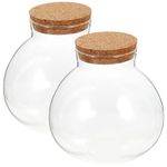 GANAZONO 2pcs Glass Terrarium Container Round Succulent Planter Jars Terrarium House with Cork Stopper Moss Ball Bowl Micro Landscape Vase for Office 15x16cm