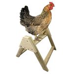 Chicken Roosting Perch Bird Stand MADE in The USA! Roost Toys and Accessories for Coop Heavy Duty Solid Handcrafted Wood Construction for Birds Hens Chook Pollos Gallinas Chicks