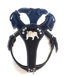 M&D Beautiful Black Leather Dog Harness with English Bulldog Head Motif (Brass Fittings)