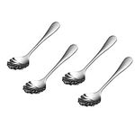 MAKAWER 4-Piece Sugar Spoon Stainle