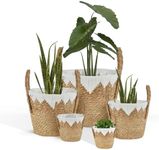 DECOMOMO Plant Basket, 5-Pack Plant