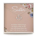 RareLove Sister Gifts from Sisters 925 Sterling Silver Tiny Infinity Heart Necklaces Friendship Jewellery for Women, Sister Birthday Presents