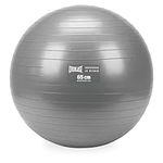 Everlast Burst Resistant Fitness Ball 65 cm Grey