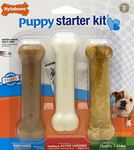 Nylabone Puppy Chew Toys Starter Kit 47 g (Pack of 3)