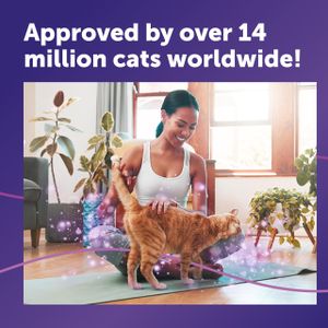 FELIWAY Classic Cat Calming Diffuser – Stress Relief Plug-In