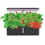 Hydroponics Growing System Indoor G