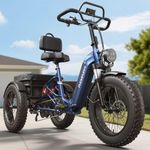 PUCKIPUPPY Electric Tricycle for Adults, Full Suspension & Reverse Gear, 20" 6061 Aluminum Frame 960W Peak Electric Trike Max 55 Miles Blue