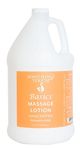 Soothing Touch W67348G Basics Lotion, 1 Gallon