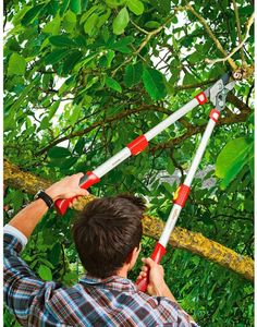 WOLF-Garten Anvil Loppers – RS900T Telescopic Garden Pruner