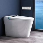 Toilet With Built In Bidet