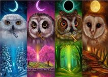 YEESAM ART 5D DIY Diamond Painting Kits for Adults - Sun and Moon Four Seasons Owl 30x40cm - Diamond Art Painting Kits Rhinestone Cross Stitch Embroidery for Home Decoration