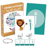 Arabic Flash Cards for Beginners，Learn Arabic Alphabet for Kids, Teens and Adults