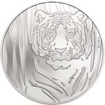 TREASURE WORLD COLLECTIBLES Hidden Tiger 1/2 Oz Silver Coin Mongolia 2019