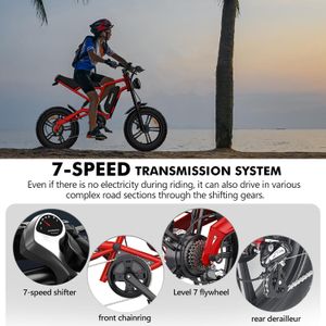 Hidoes B6 Fat Tire Electric Bike – All-Terrain E-Bike for Adults
