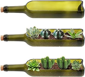 BELLE VOUS Lot de 3 Pot Plantes Succulentes Bouteille de Vin en Verre - Pot de Fleur Original de L32 x l7,1 cm - Ouverture Découpée Ovale - pour Plantes, Fleurs, Cactus, Bambou, Jardin, Terrarium
