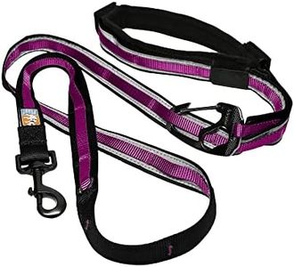 Kurgo 6-in-1 Hands Free Quantum™ Dog Leash, Running Dog Leash, Adjustable Dog Waist Running Belt, Reflective Dog Leash for Walking, Running, Hiking, 6 Foot Leash, Rasberry