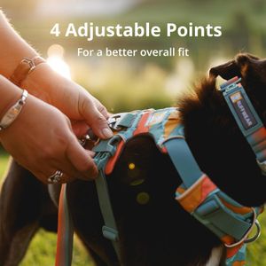 RUFFWEAR Front Range Dog Harness XS – Adjustable, Comfortable Fit