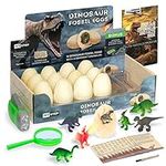 Ivy Step Dinosaur Fossil Dig Kit, 12 Count Life Like Dinosaur Eggs for Excavation, Chisel Tools, Dinosaur Play Cards, Explorer Flashlight & Magnify Glass, Dino Jurassic Fossil Digging Kit for Kids