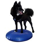 22" FitPAWS® Dog Training/Rehabilitation Balance Disc, Blue