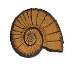 Onlymat Hand-Crafted Snail Shape Anti-Slip Back for Indoor, Outdoor, Patio, Home, and Office Weatherproof, Large, and Thick Entryway Decor Natural Coir Doormat, Brown (56 x 56cm)