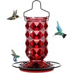 Glass Hummingbird Feeders for Outdoors, 25 Ounces Wild Bird Nectar Feeder with Perch & 5 Flower Feeding Ports Leak Proof Hanging for Garden Backyard Decor, Gifts for Women Mom, Red