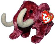 TY Beanie Baby - COLOSSO the Mammot