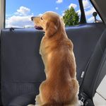 Durapower Dog Car Door Protector丨2 