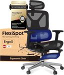 FLEXISPOT ErgoX Ergonomic Office Ch