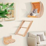 HEVOL Cat Hammock Wall Mounted 3Pcs Set,Moon Shape Cat Wall Shelves with Cat Wall Steps,Wooden Cat Wall Furniture Cat Beds and Perches for Indoor Cats Climbing,Playing,Sleeping,Up to 33lbs