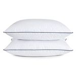 puredown Goose Feather and Down Pillow Set Luxury Pillow 100% Cotton Cover (Blue Edge, Queen)