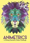 Animetrics: A Striking Geometric St