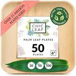 Chic Leaf Palm Leaf Square Plates (